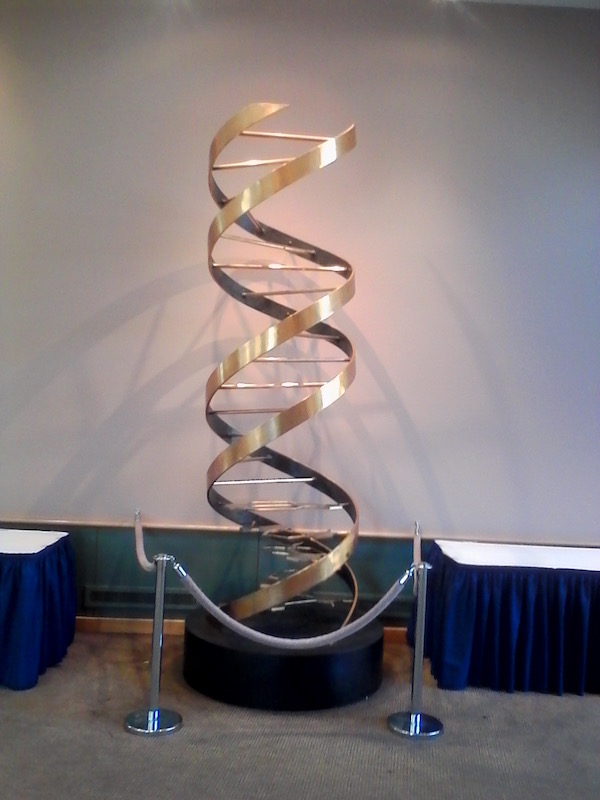 Maquette d’ADN