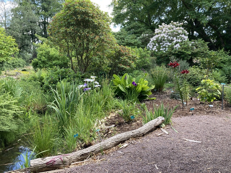 Le jardin botanique de Lund