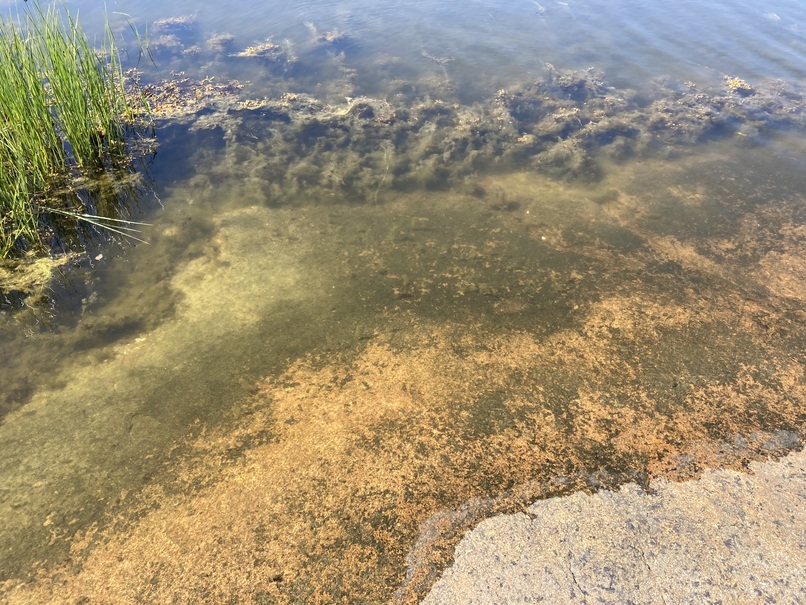 Mais pas si attirant en regardant de plus près…